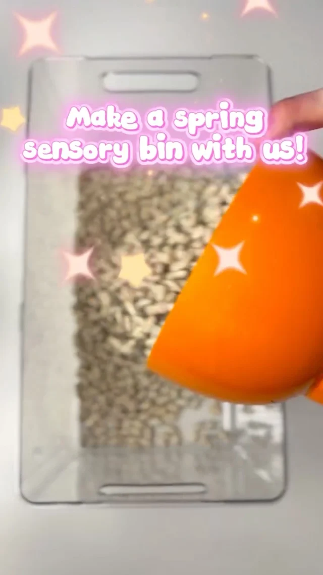 ✨ Sensory play = learning through fun! ✨

Today we created a colorful sensory bin filled with a variety of textures to explore, feel, and discover! 🌈 From soft to bumpy, smooth to crunchy—these hands-on experiences help children build important skills while having fun.

Sensory bins can support:
🖐️ Fine motor development
🧠 Problem-solving & creativity
🗣️ Language growth (describing textures, colors & actions)
👀 Focus & attention

Simple, engaging, and so beneficial—sensory play is a great way to turn everyday moments into meaningful learning opportunities! 💫

#SensoryPlay #PediatricTherapy #OccupationalTherapy #SpeechTherapy #FineMotorSkills ChildDevelopment PlayBasedLearnin